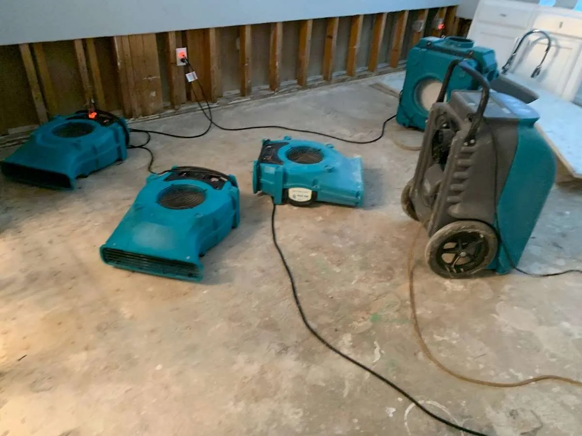 Water Damage Restoration services in Lomita, CA